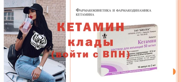 стаф Магас
