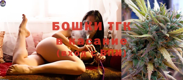 стаф Магас