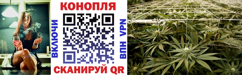 Канабис тримм  купить наркоту  Невель 